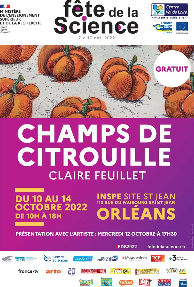 Champ de citrouille - Claire Feuillet